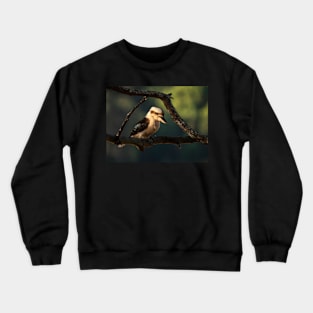 Kookaburra in the Spotlight Crewneck Sweatshirt